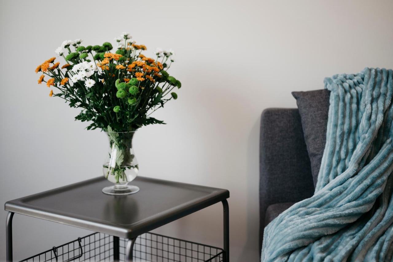 Nocosfera Apartament Serbinow Kaliszki Exteriér fotografie