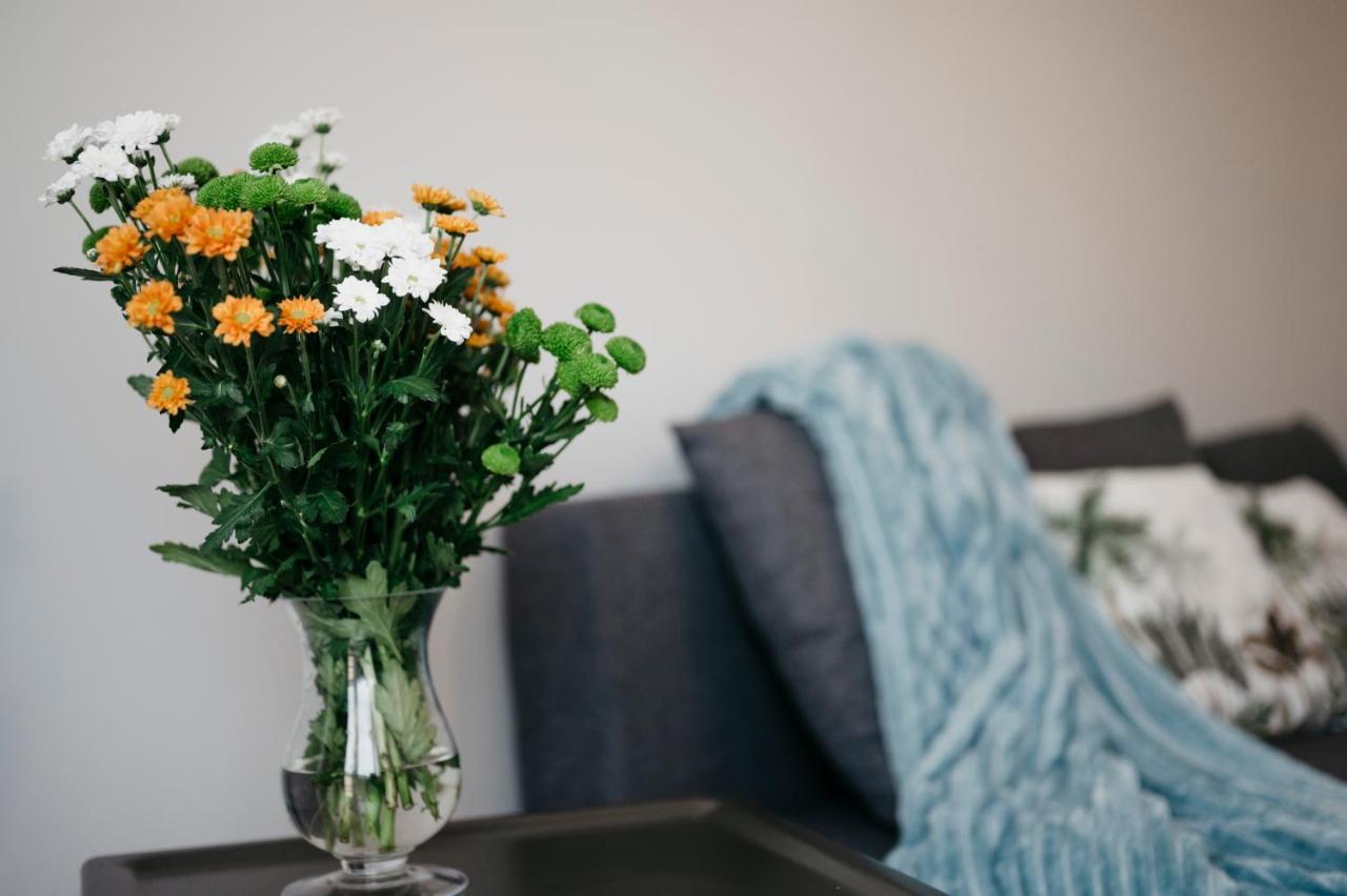 Nocosfera Apartament Serbinow Kaliszki Exteriér fotografie